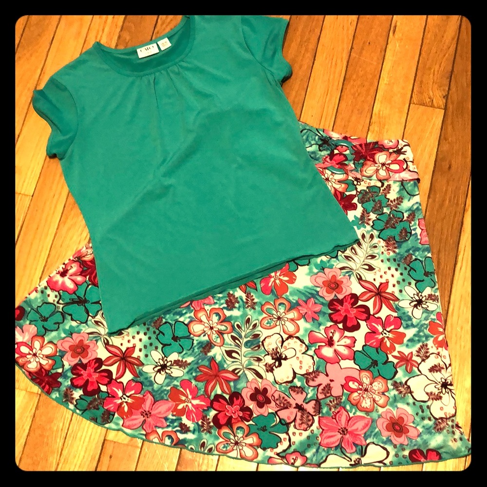 Skirt and top set